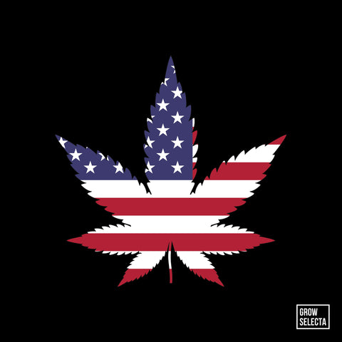READ: US House passes Cannabis Decriminalisation Bill
