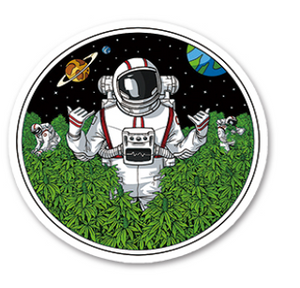 Herb Leaf Sticker Packs (50 Per Pack)